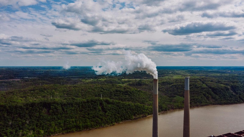 What is the state of the global carbon market?