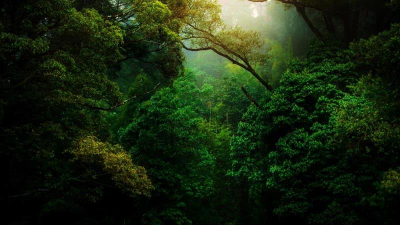 Sustainable finance, data, and technology: The way forward for a climate resilient future